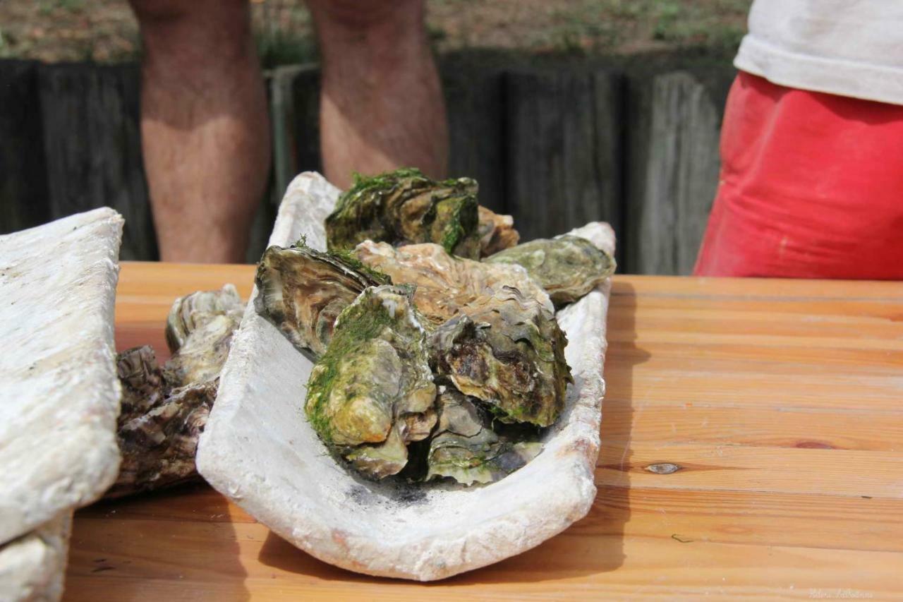 Les Pieds Dans L'Eau Apartman Arcachon Kültér fotó
